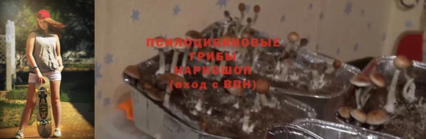 а пвп мука Володарск